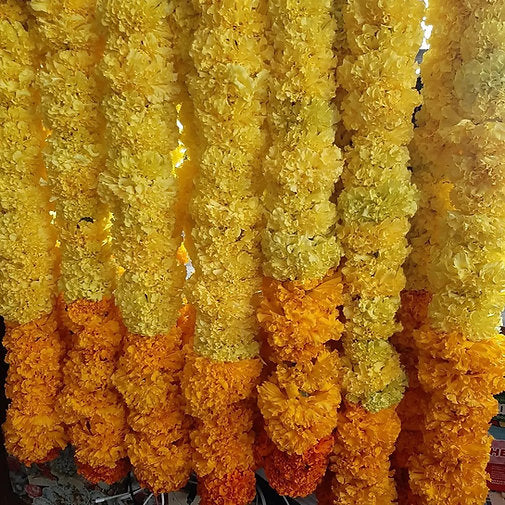 2025 Fresh Marigold Garland (SayaPatri Mala)
